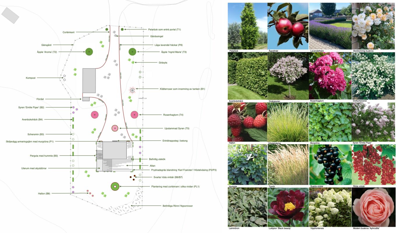 Trädgårdsdesign Järna — illustrationsplan och växtlista av trädgårdsmästare
